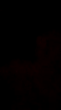 6crimson6 online show from 30, 12, 2024