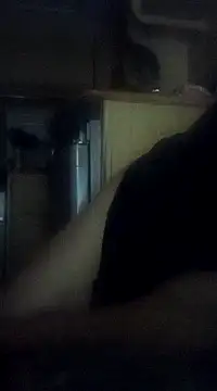 Skody31 online show from 12, 2, 2025