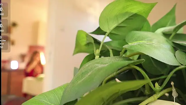 Kishaxxx online show from 6, 3, 2025