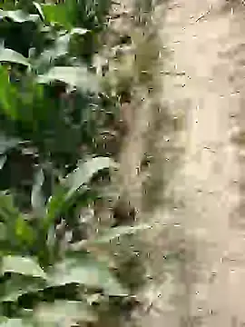 ThethunderPo online show from 25, 2, 2026