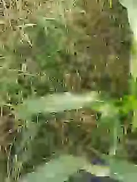 ThethunderPo online show from 29, 3, 2026