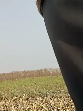 ThethunderPo online show from 16, 11, 2025