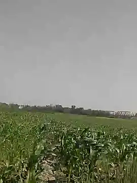 ThethunderPo online show from 3, 3, 2025