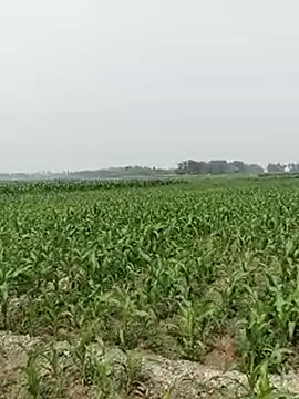 ThethunderPo online show from 26, 2, 2025