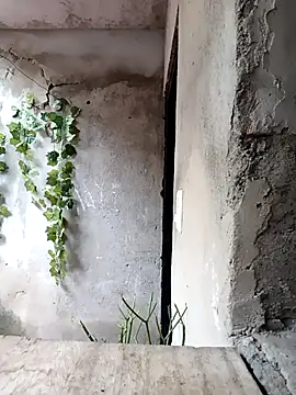 Camilatinass  online show from 25, 4, 2026