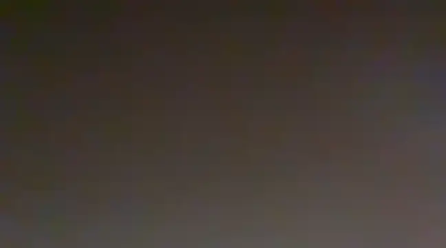 Sunning2 online show from 20, 12, 2024