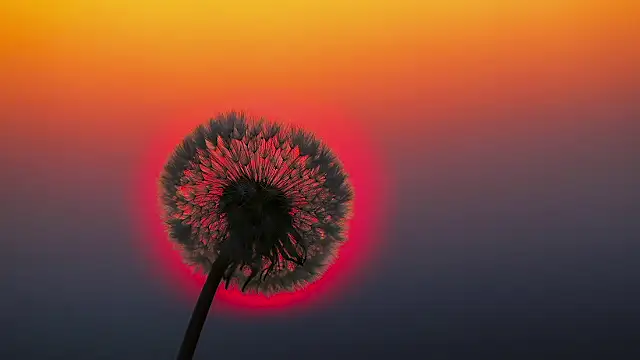 Sunning2 online show from 10, 9, 2025