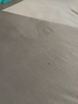 descret 19 online show from 22, 3, 2026