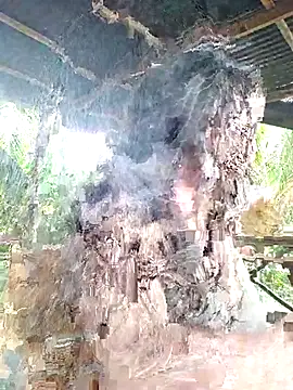 Snapshot of loveuu-bae chatting on 23, 10, 2025 loveuu-bae online show from 23, 10, 2025