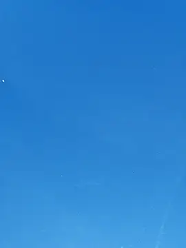 UncutHammer69 online show from 7, 4, 2026