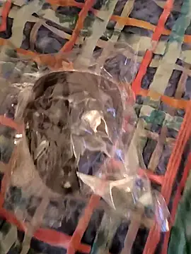 geilerboy2628 online show from 5, 4, 2026