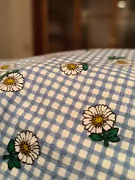 geilerboy2628 online show from 11, 3, 2026