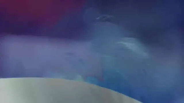 Leila Libertas online show from 6, 3, 2026