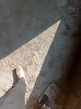 Bengali BULL1 online show from 15, 11, 2025