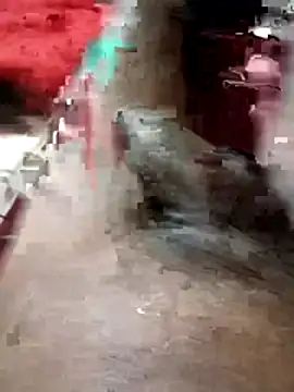 Bengali BULL1 online show from 1, 3, 2026