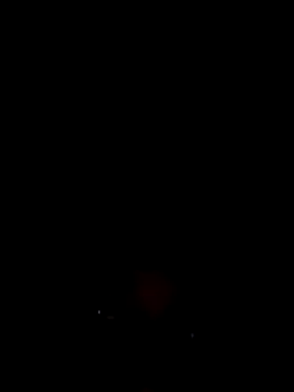 Bengali BULL1 online show from 13, 11, 2025