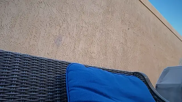 Snapshot of rusharizona chatting on 21, 10, 2025 rusharizona online show from 21, 10, 2025