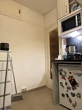 ladyturtle online show from 29, 3, 2026