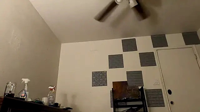 TheDaisyChaos online show from 14, 3, 2025