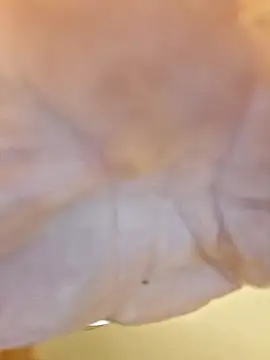 ThickDMattyxh online show from 1, 11, 2025