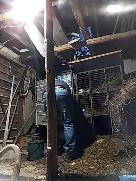 sarpe4 online show from 19, 2, 2026