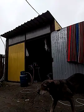 sarpe4 online show from 9, 11, 2025