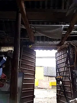 sarpe4 online show from 4, 10, 2025