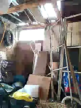 sarpe4 online show from 5, 10, 2025