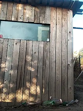 sarpe4 online show from 21, 9, 2025