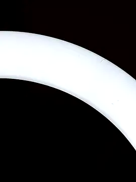 Bull8 online show from 18, 3, 2025