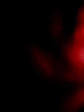 salonidesimaal online show from 22, 12, 2024