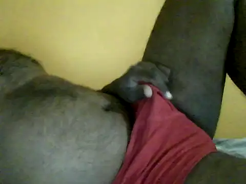 Indianguymohan online show from 14, 4, 2026