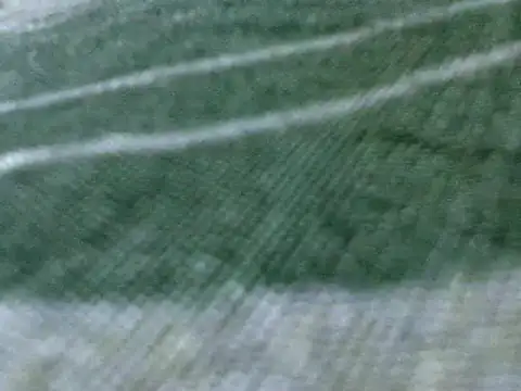 Damita999 online show from 19, 3, 2025