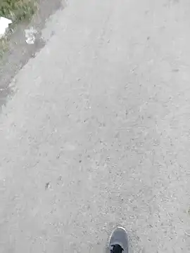 Muzz 2020 online show from 10, 4, 2026