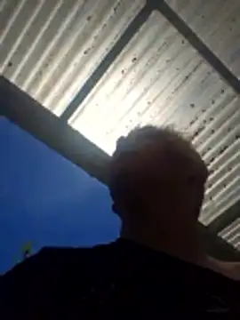 PinkTheHawk online show from 14, 12, 2025