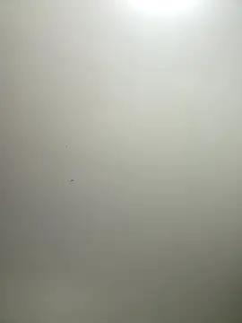 itsCassie online show from 17, 12, 2025