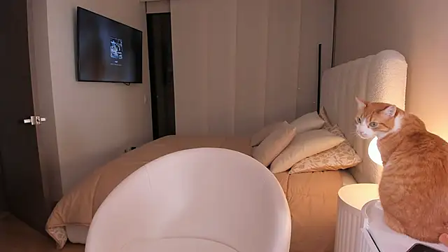 salome  11 online show from 23, 9, 2025