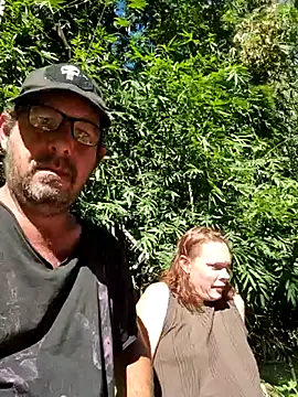 TryingWind online show from 26, 5, 2026