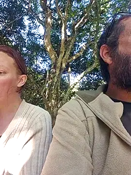 TryingWind online show from 6, 5, 2026
