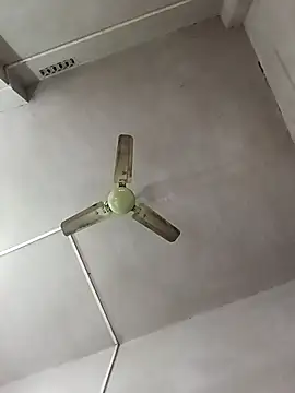 Dogol1990 online show from 15, 12, 2025