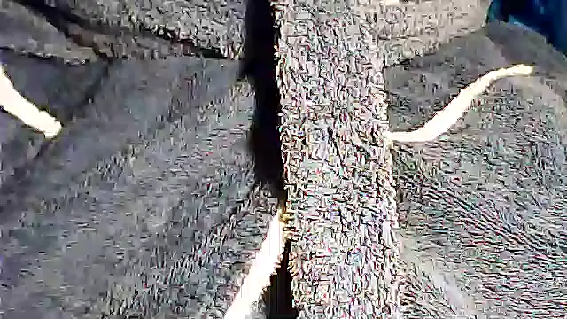 kalinixta online show from 2, 10, 2025