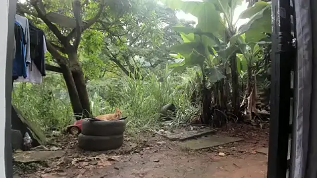 venusandzeusxh online show from 27, 2, 2025