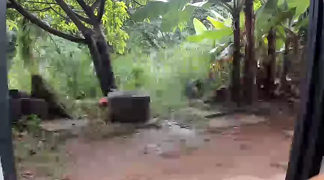 venusandzeusxh online show from 14, 12, 2024