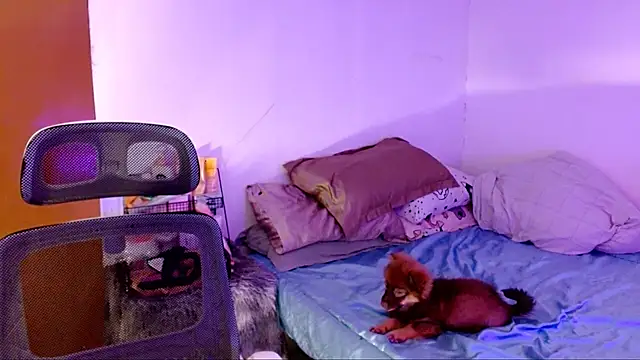 SweetLilly 18 online show from 2, 11, 2025