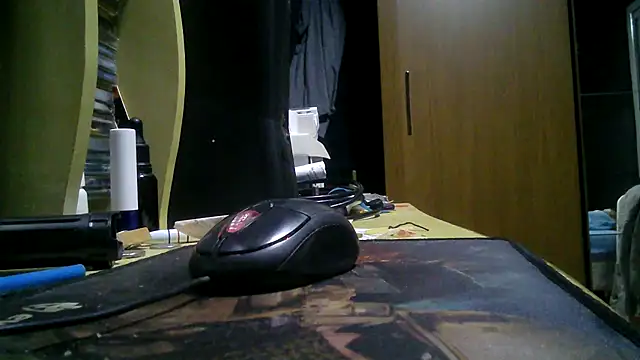 gauchors20 online show from 10, 3, 2026