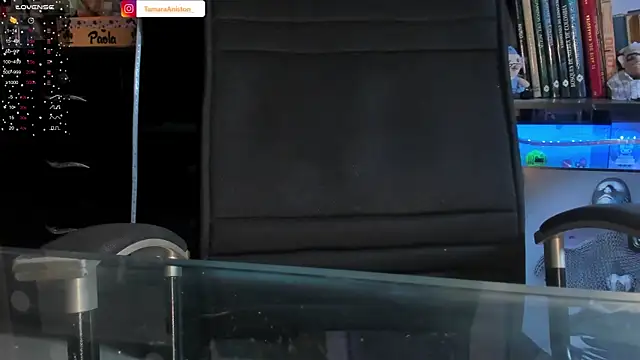 Snapshot of TamaraAniston chatting on 14, 2, 2025 TamaraAniston online show from 14, 2, 2025