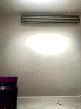 AlondraDiossa03 online show from 26, 11, 2025