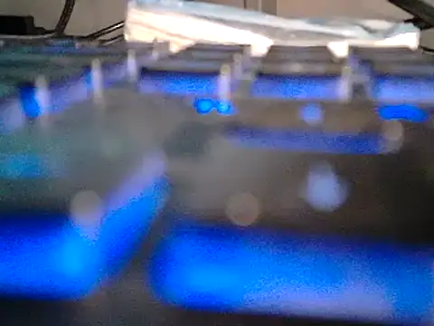 gym69 online show from 4, 2, 2025