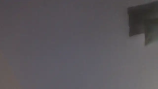 florida0217 online show from 18, 1, 2025