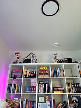 LilyOrion online show from 6, 2, 2026